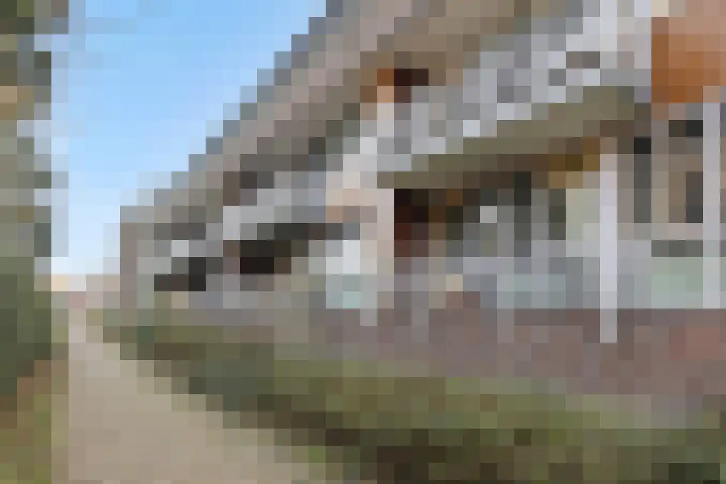 Visser 11 b Deurne thumbnail 28