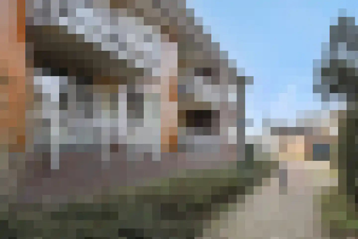 Visser 11 b Deurne thumbnail 29