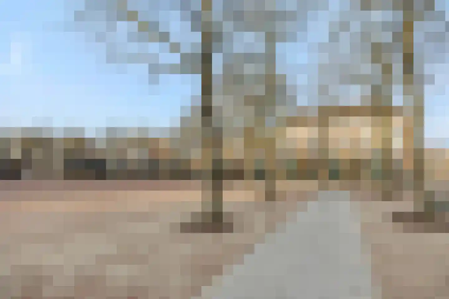 Visser 11 b Deurne thumbnail 33