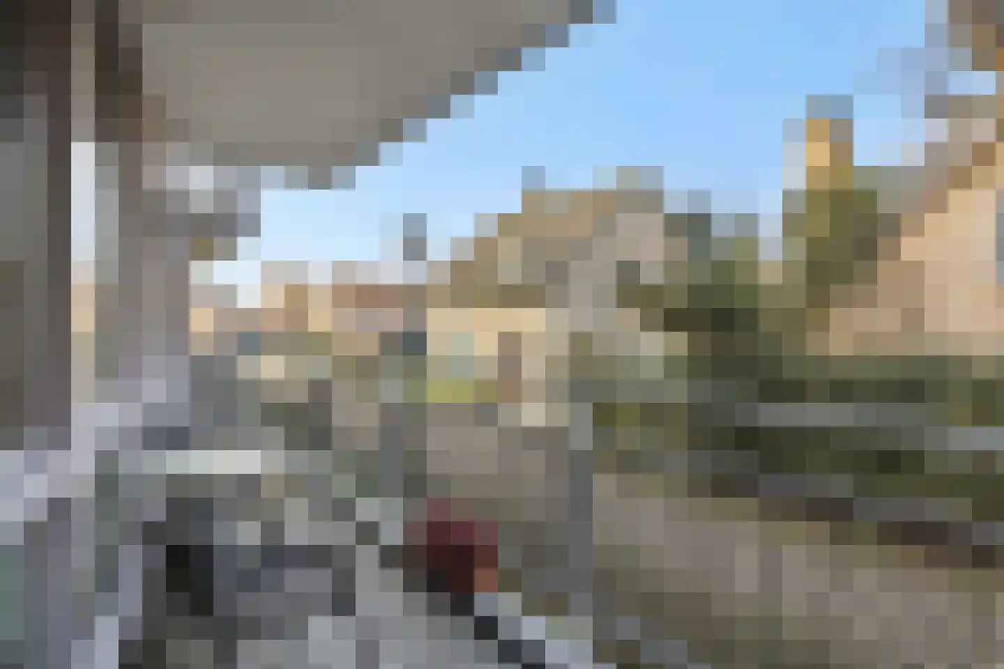 Visser 11 b Deurne thumbnail 5