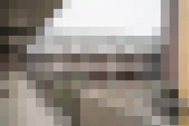 Visser 15 a Deurne thumbnail 11