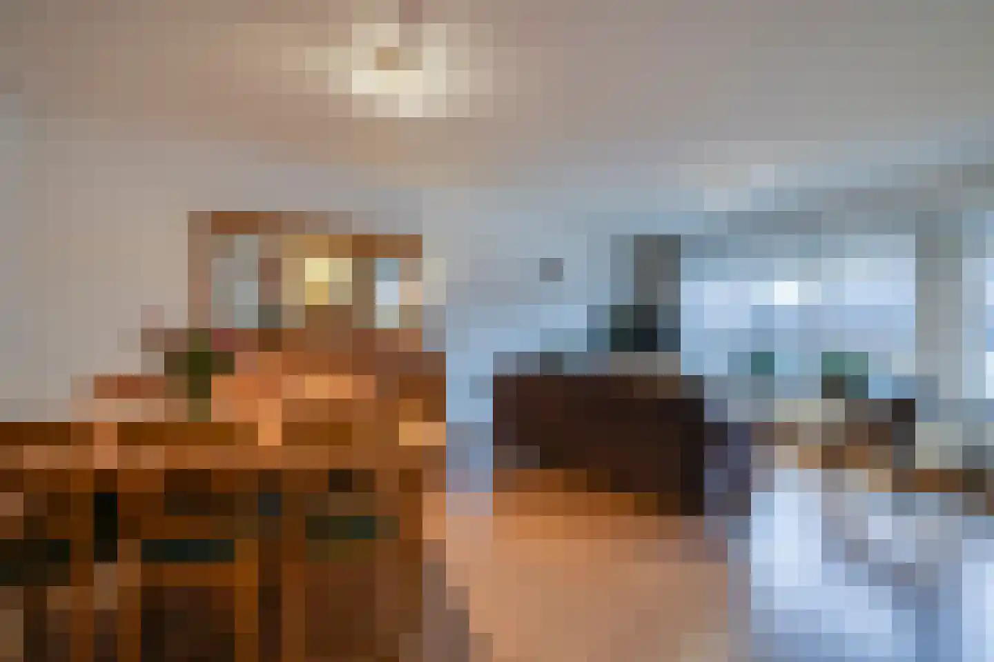 Visser 15 a Deurne thumbnail 12
