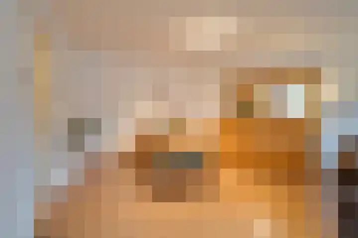Visser 15 a Deurne thumbnail 14