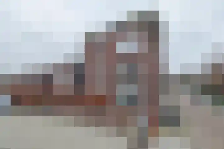 Visser 15 a Deurne foto 2