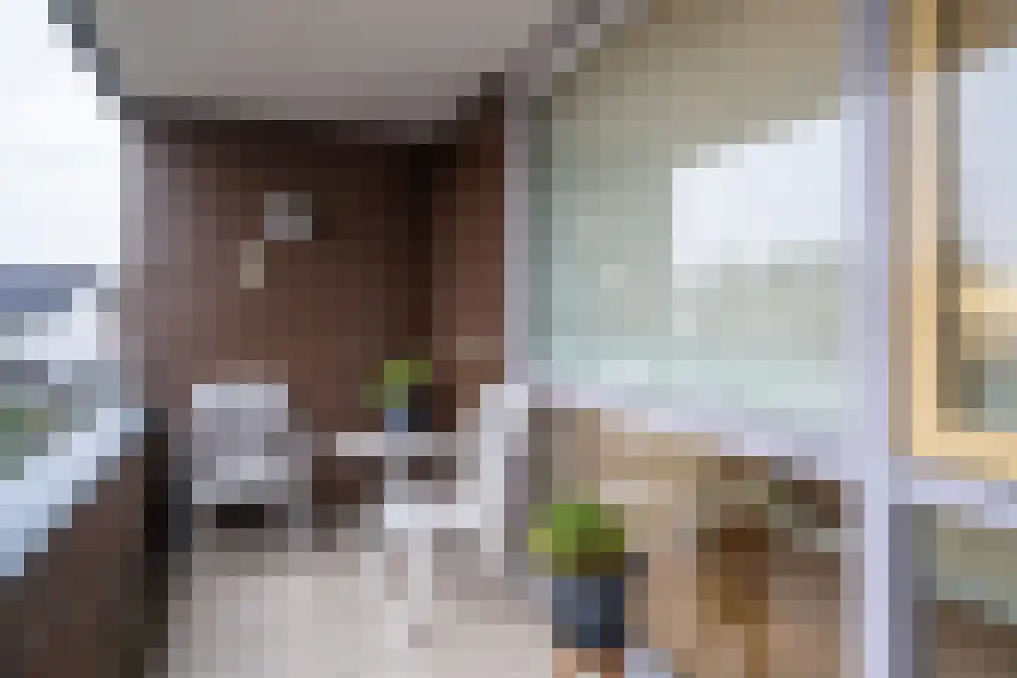Visser 15 a Deurne thumbnail 20