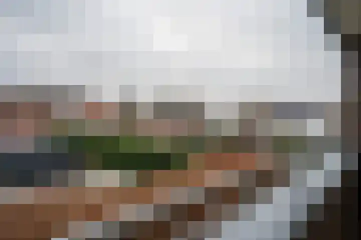 Visser 15 a Deurne thumbnail 21