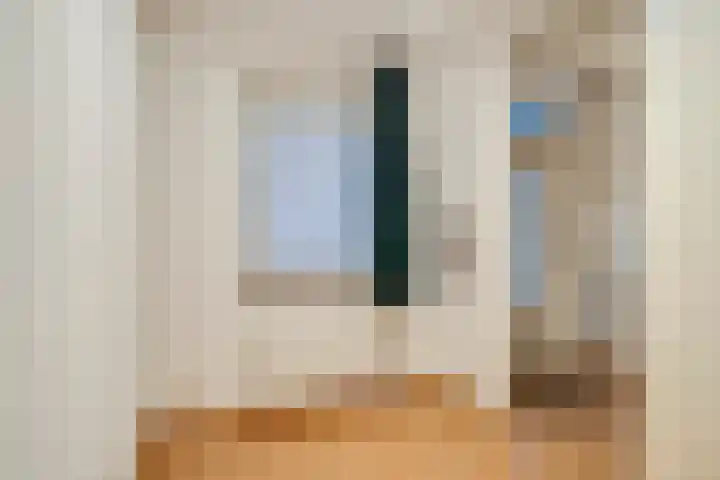Visser 15 a Deurne thumbnail 30