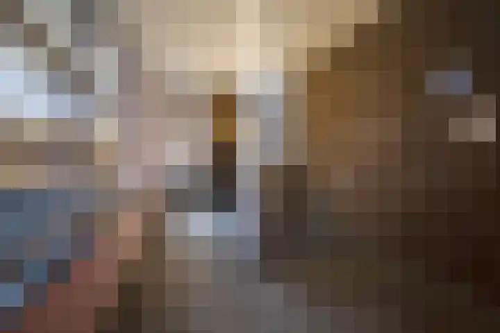 Visser 15 a Deurne thumbnail 6