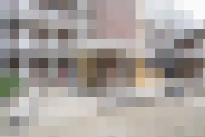 Visser 15 a Deurne thumbnail 8