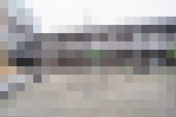 Visser 15 a Deurne thumbnail 9