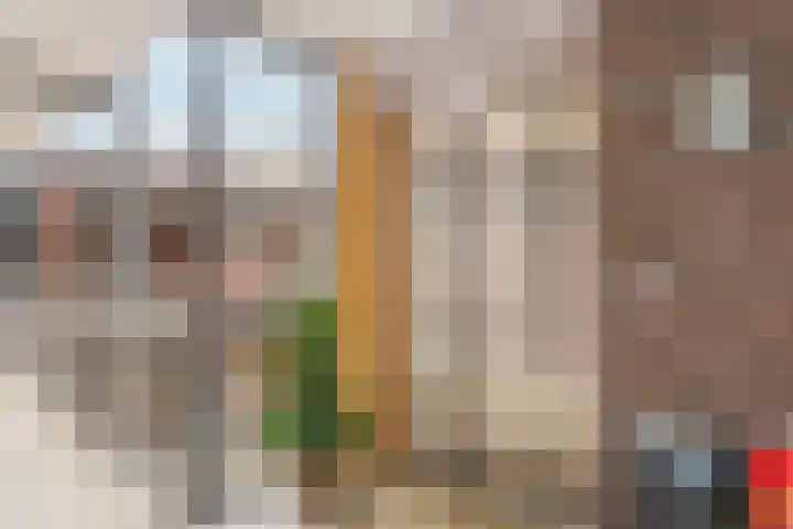 Visser 15 b Deurne thumbnail 11