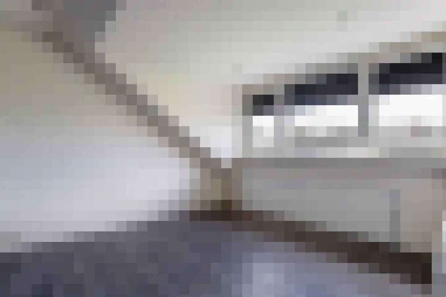 Visser-Roosendaalstraat 31 Venhuizen thumbnail 32
