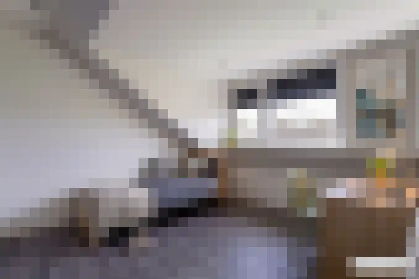 Visser-Roosendaalstraat 31 Venhuizen thumbnail 33
