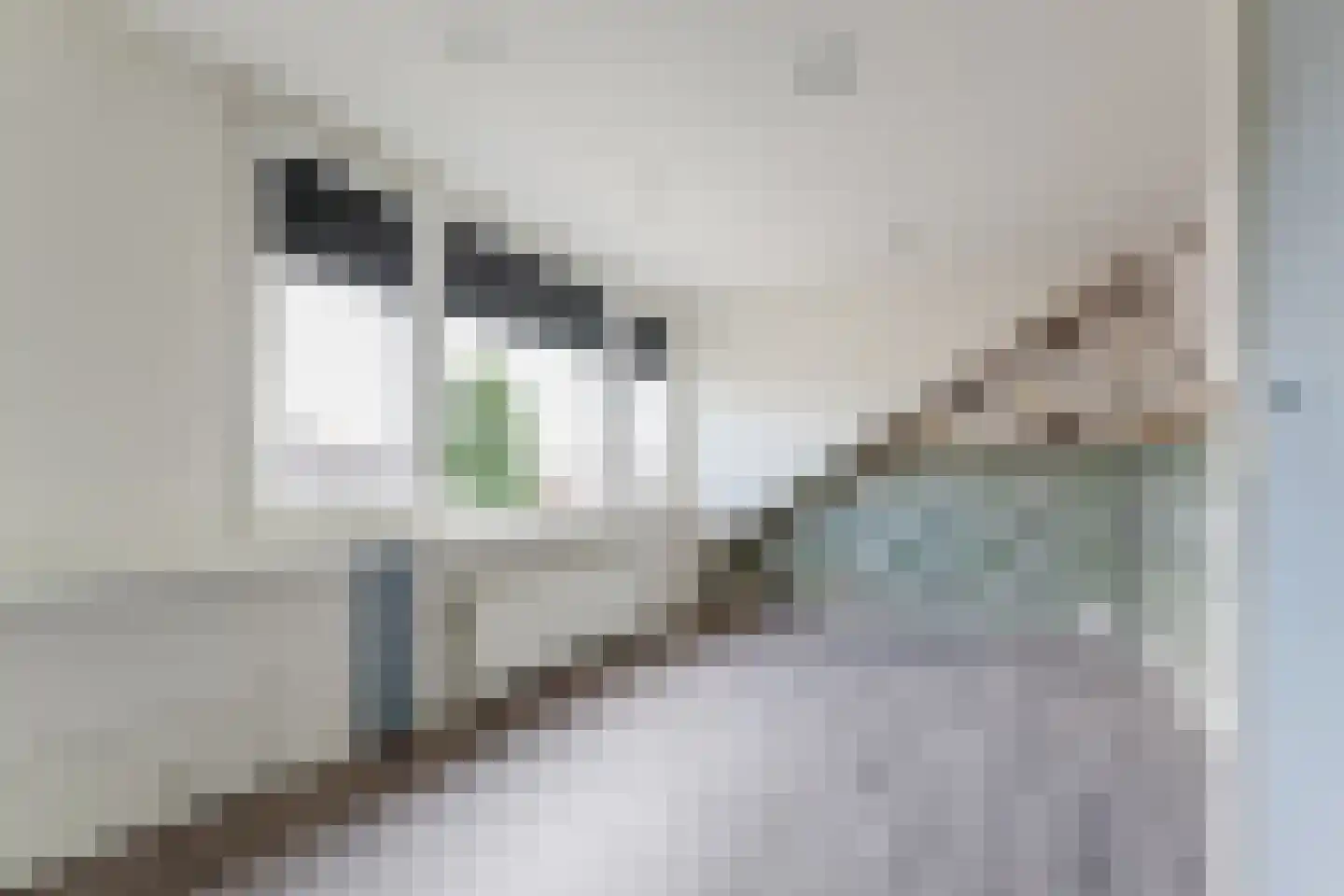 Visser-Roosendaalstraat 31 Venhuizen thumbnail 36