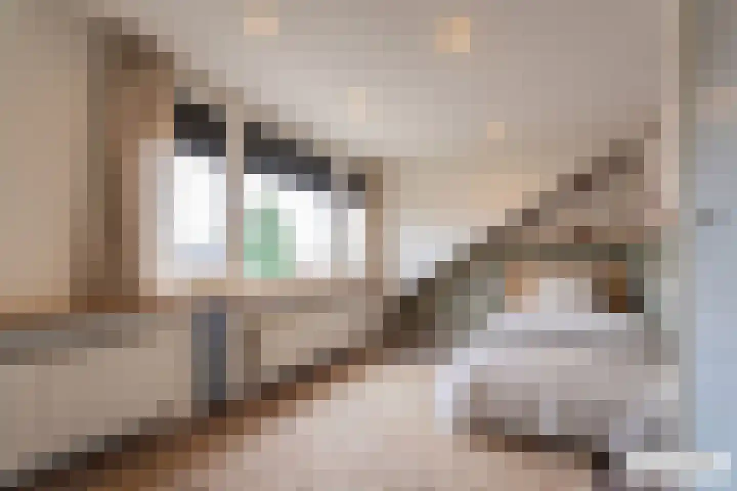 Visser-Roosendaalstraat 31 Venhuizen thumbnail 37