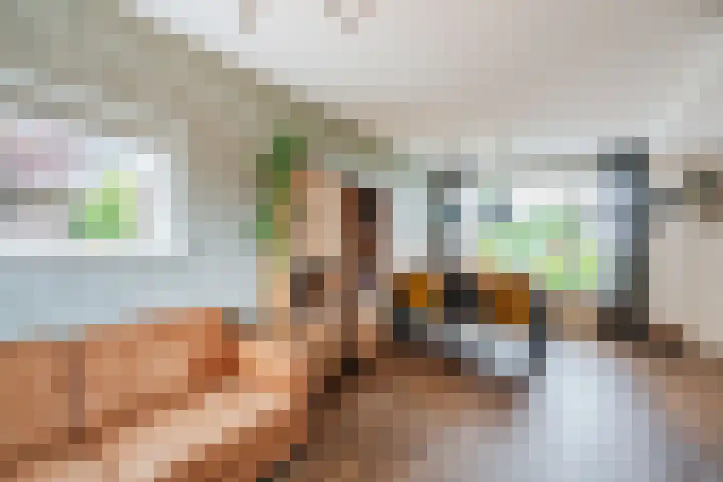 Visser-Roosendaalstraat 36 Venhuizen thumbnail 12