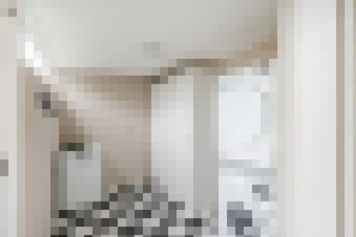 Visser-Roosendaalstraat 36 Venhuizen thumbnail 16
