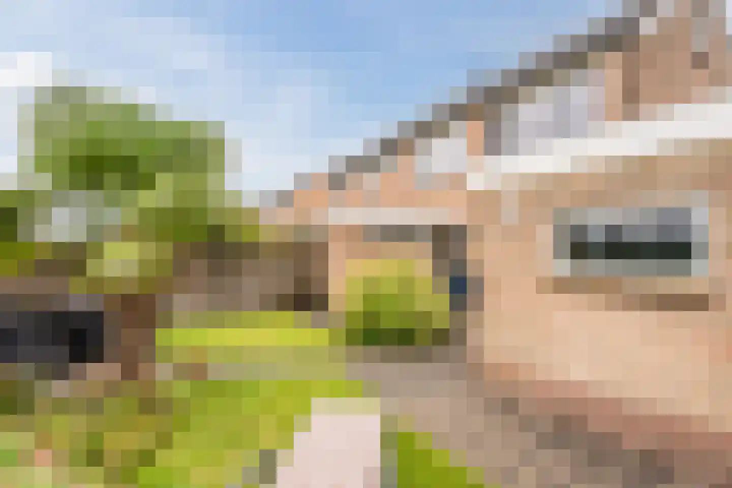 Visser-Roosendaalstraat 36 Venhuizen thumbnail 33