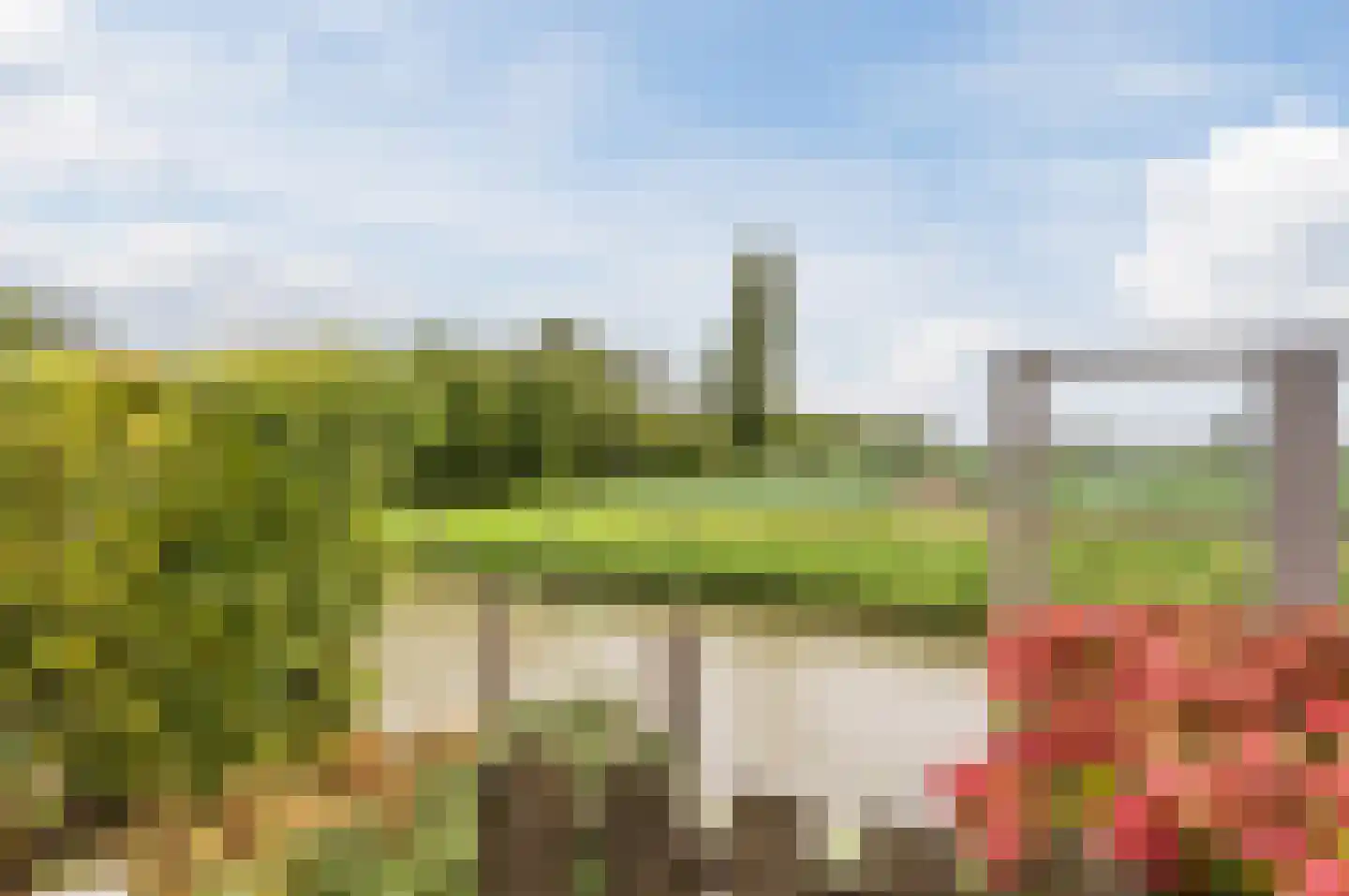 Visser-Roosendaalstraat 36 Venhuizen thumbnail 39