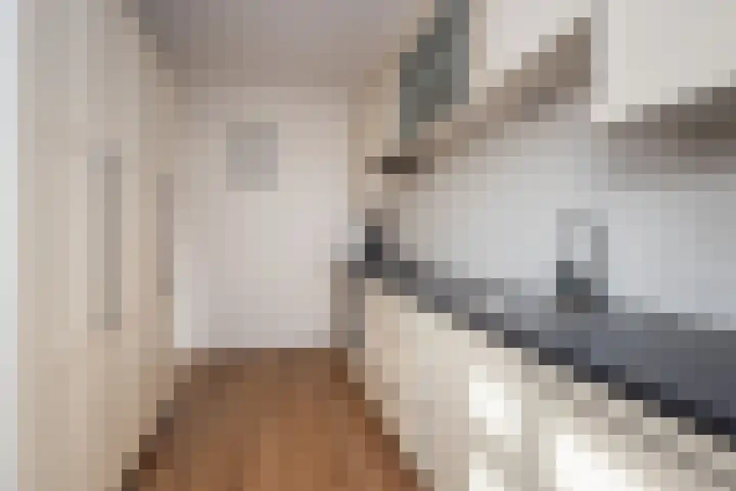 Visser-Roosendaalstraat 55 Venhuizen thumbnail 13