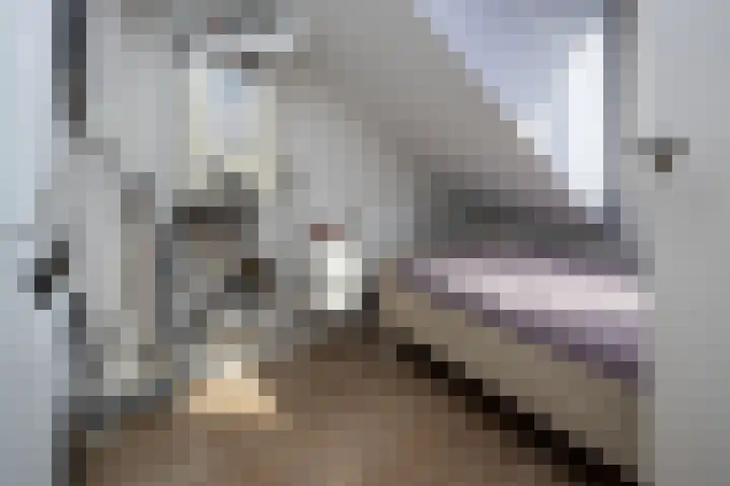 Visser-Roosendaalstraat 55 Venhuizen thumbnail 28