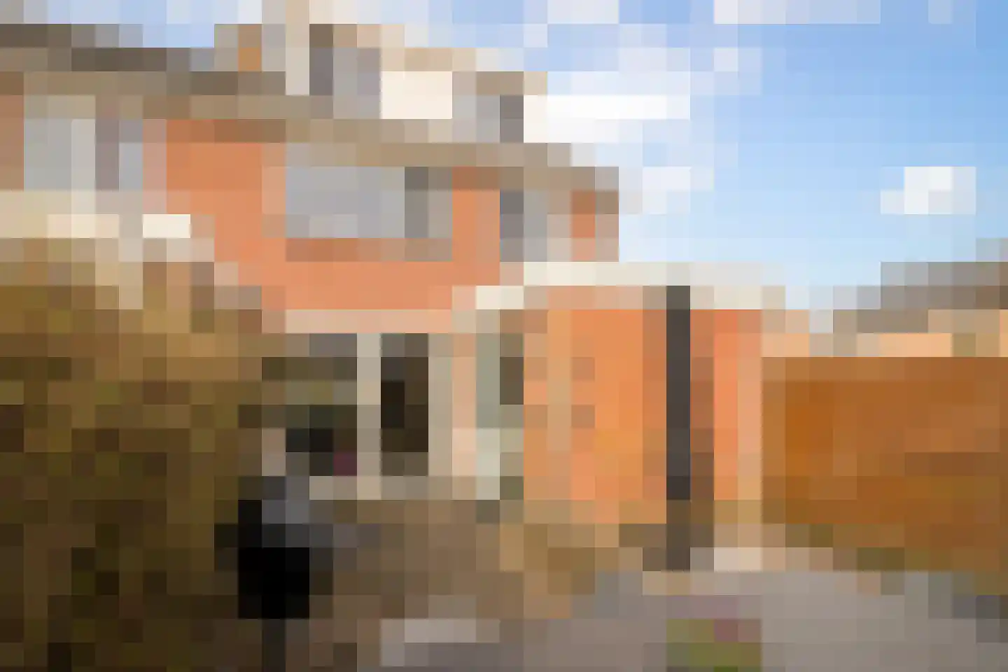 Visser-Roosendaalstraat 55 Venhuizen foto 3