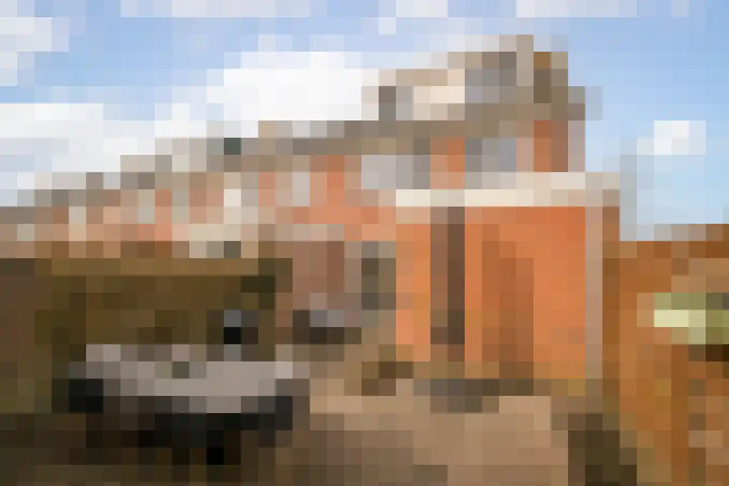 Visser-Roosendaalstraat 55 Venhuizen thumbnail 33