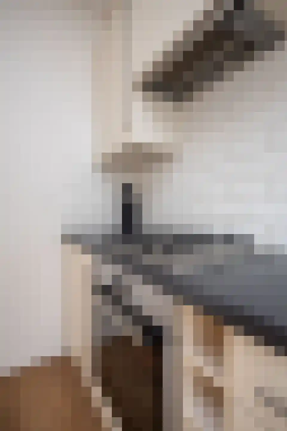 Visser-Roosendaalstraat 55 Venhuizen thumbnail 39