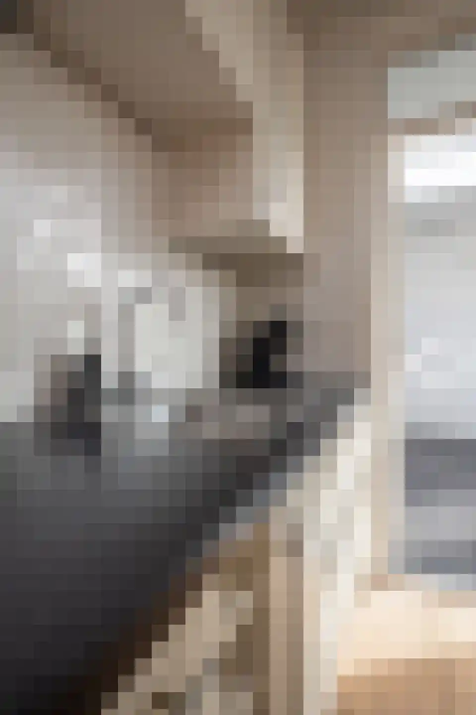 Visser-Roosendaalstraat 55 Venhuizen thumbnail 40