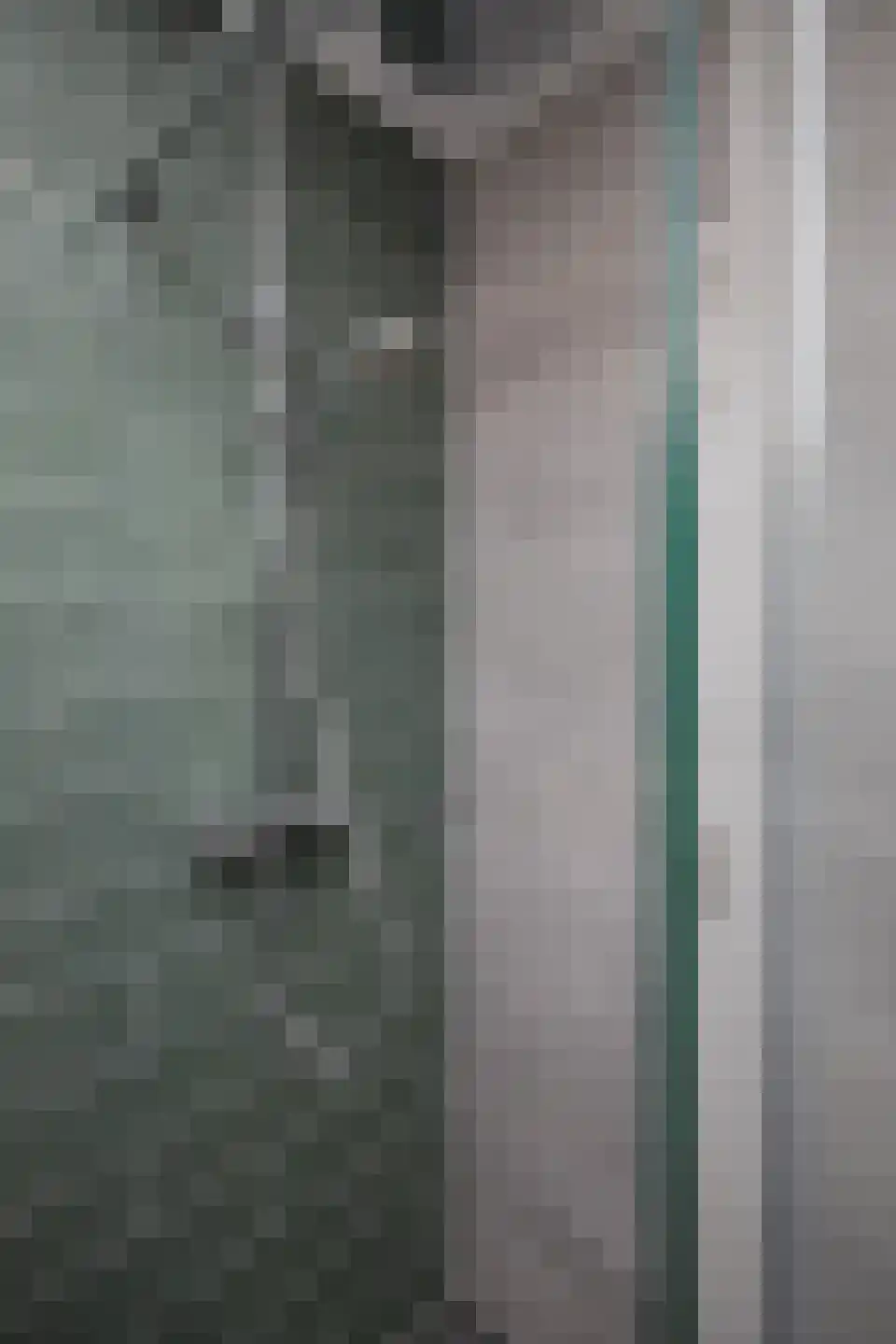 Visser-Roosendaalstraat 55 Venhuizen thumbnail 41