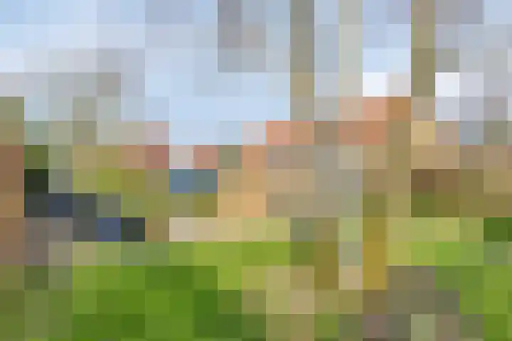 Team foto van Visser & van Ingen makelaardij