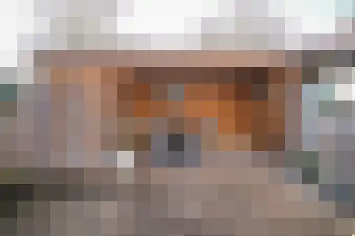 Visserij 18 Zaltbommel thumbnail 4