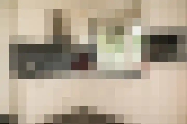 Visserij 27 Zaltbommel thumbnail 11
