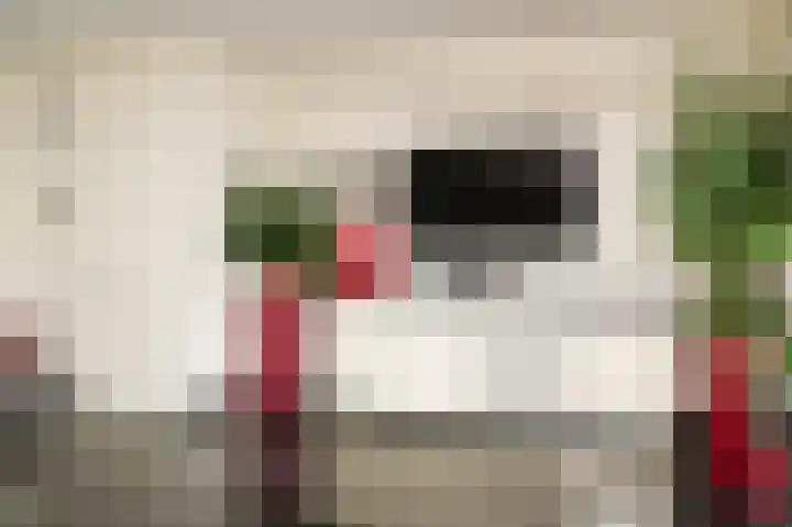 Visserij 27 Zaltbommel thumbnail 13