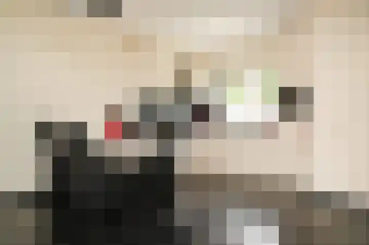 Visserij 27 Zaltbommel thumbnail 14