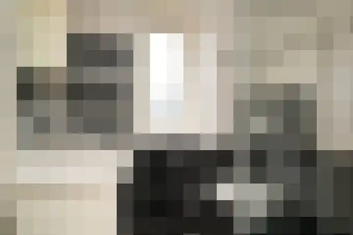 Visserij 27 Zaltbommel thumbnail 20