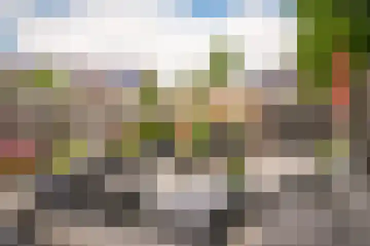 Visserij 27 Zaltbommel thumbnail 28
