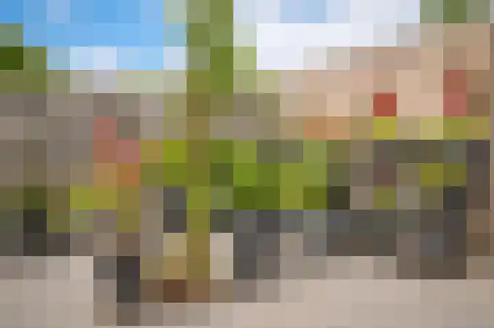 Visserij 27 Zaltbommel thumbnail 32