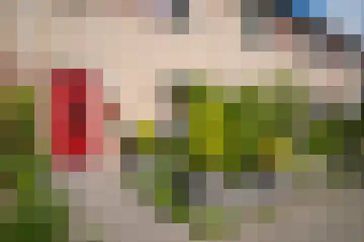Visserij 27 Zaltbommel thumbnail 34