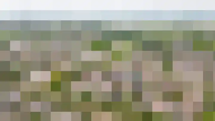 Visserij 27 Zaltbommel thumbnail 38
