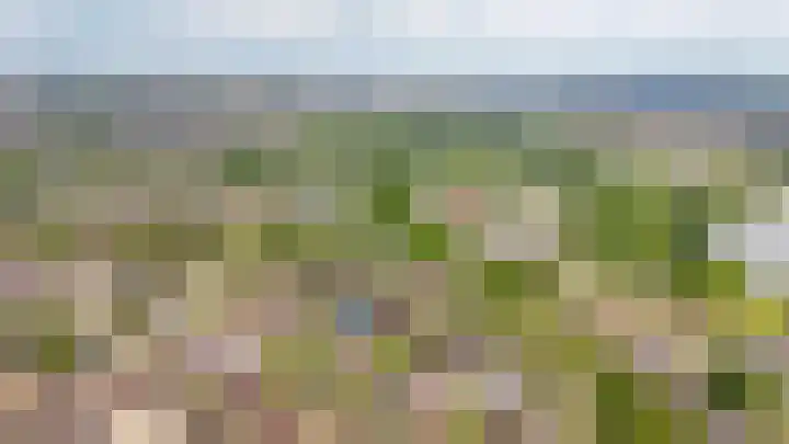 Visserij 27 Zaltbommel thumbnail 39