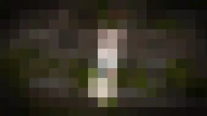 Visserij 27 Zaltbommel thumbnail 4