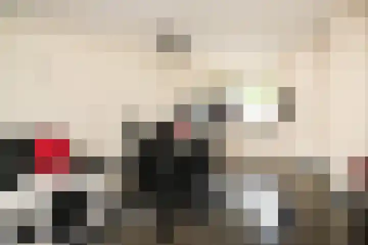 Visserij 27 Zaltbommel thumbnail 9