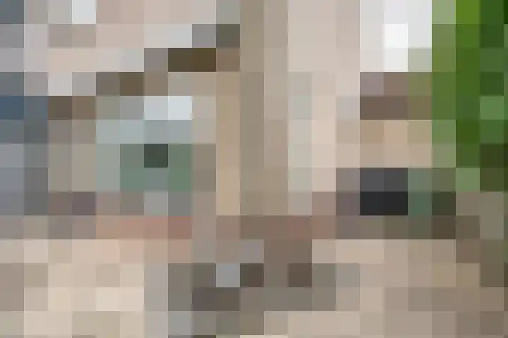 Visserij 30 Zaltbommel thumbnail 12