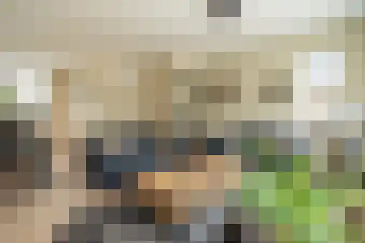 Visserij 30 Zaltbommel thumbnail 17