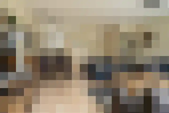Visserij 30 Zaltbommel thumbnail 19