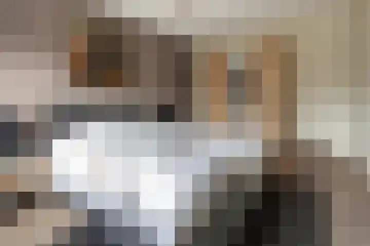 Visserij 30 Zaltbommel thumbnail 27