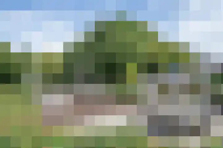Visserij 30 Zaltbommel thumbnail 39