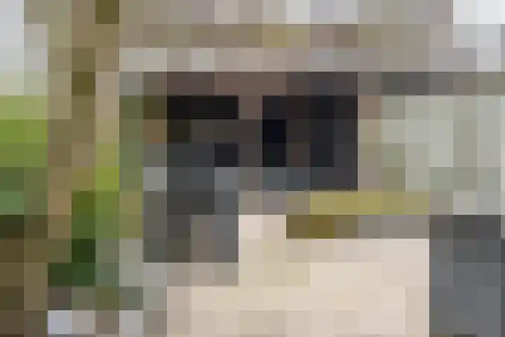 Visserij 30 Zaltbommel thumbnail 8