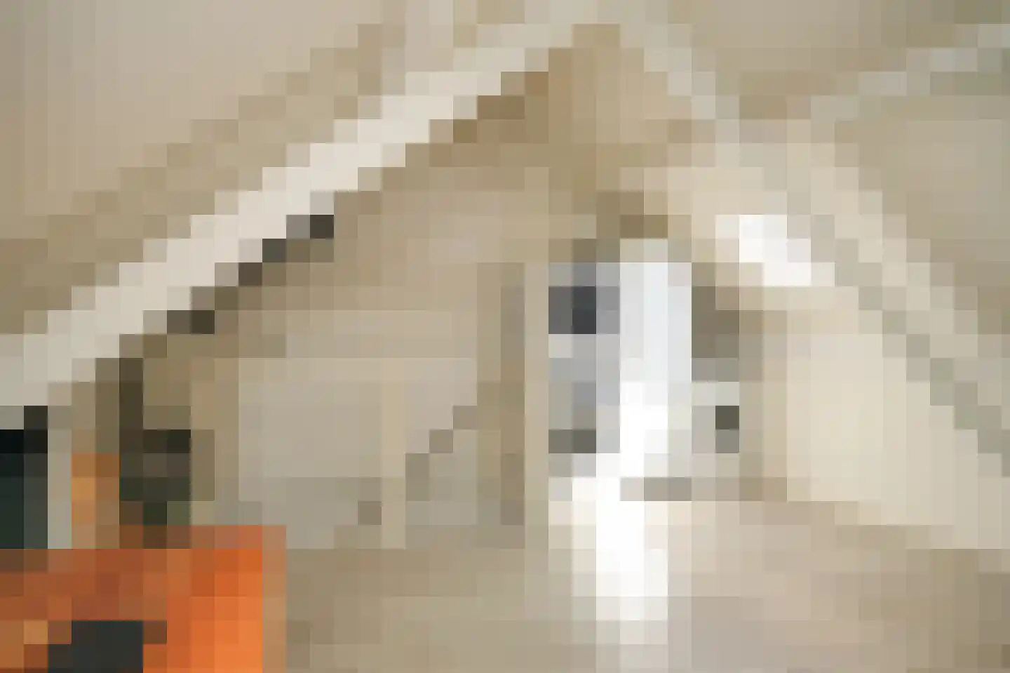 Visserij 52 Zaltbommel thumbnail 25